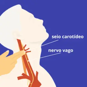 Onde fica o nervo vago