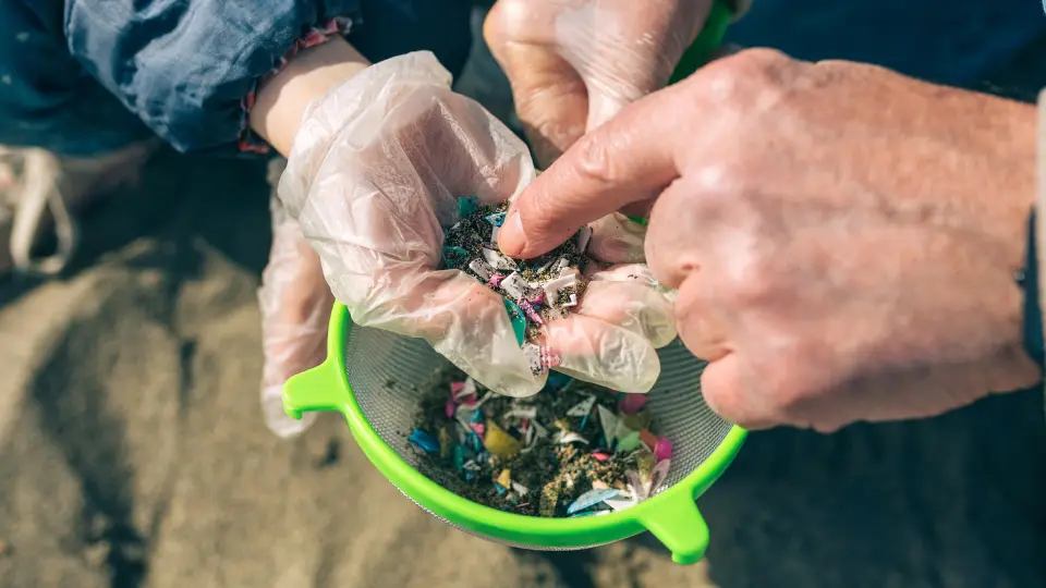 microplástico e demência microplástico e demência