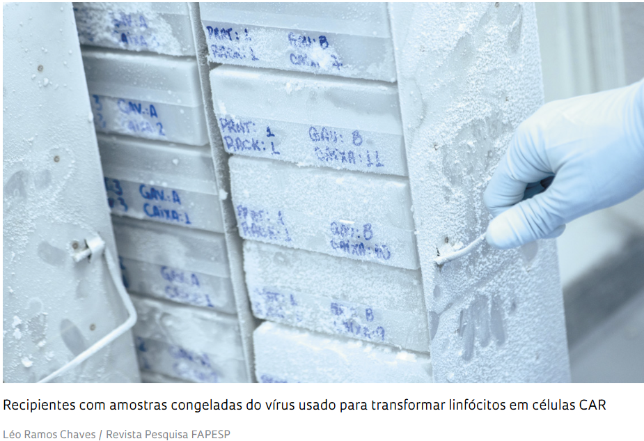 tipo de câncer mais fácil de tratar