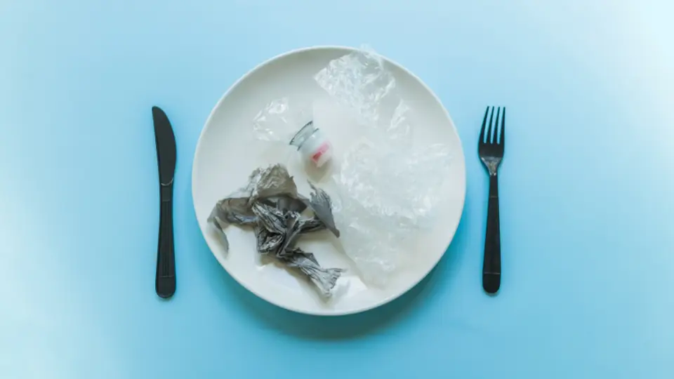 Quais alimentos têm microplásticos