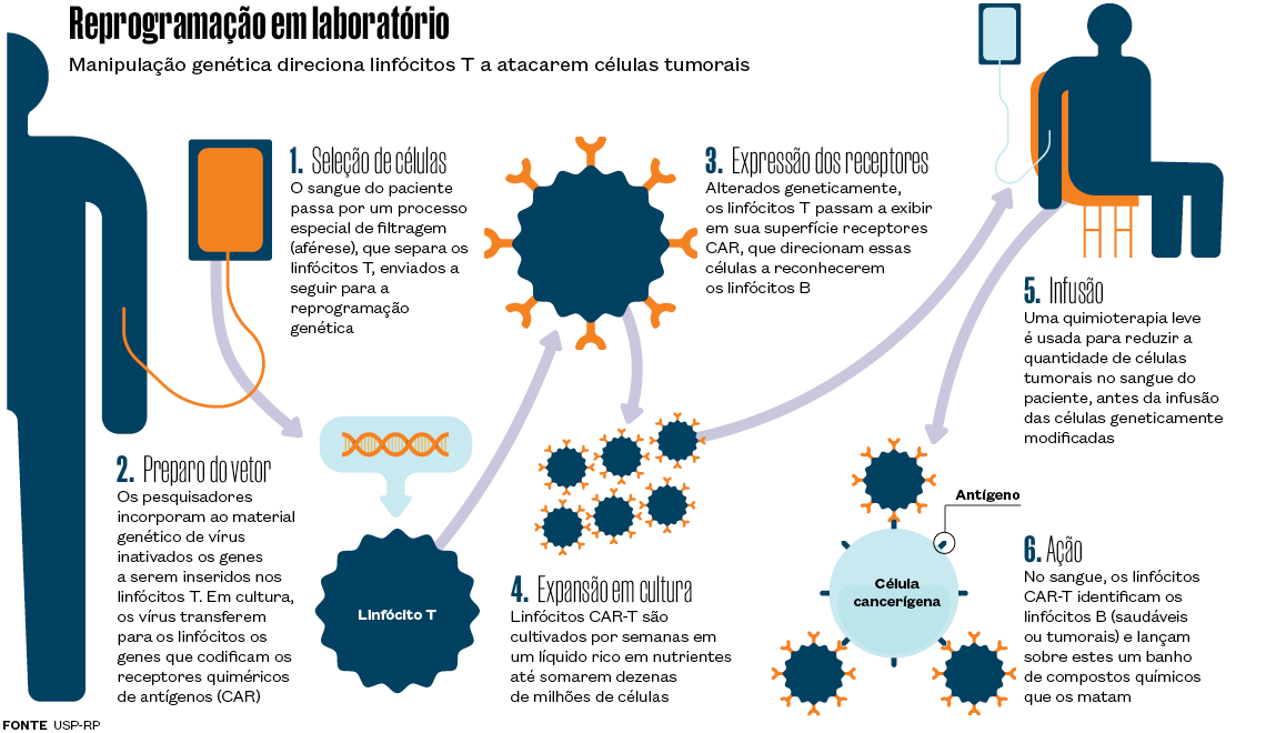 nova_terapia_contra_o_cancer