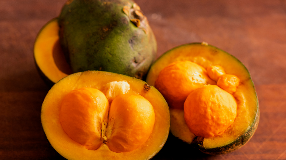 Benefícios do chá de pequi: vale a pena?